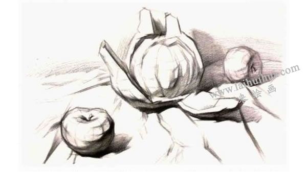 结构素描表现步骤：调整阶段
