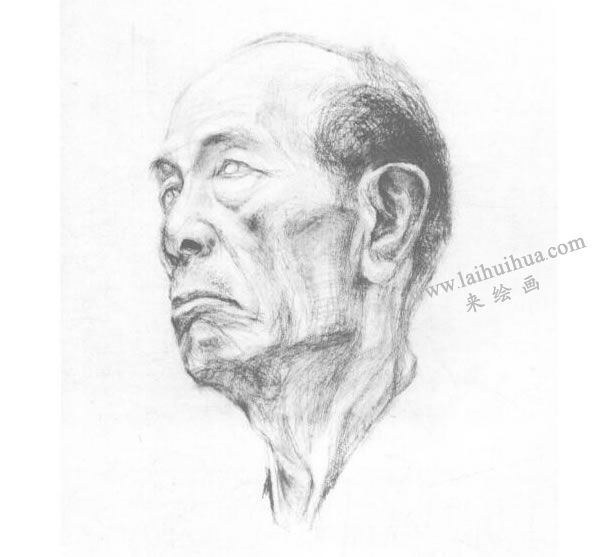 《老者头像》素描画法步骤03