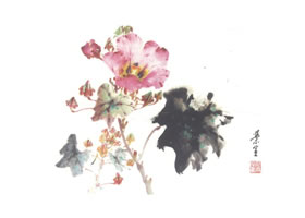 芙蓉花的写意画法（二）