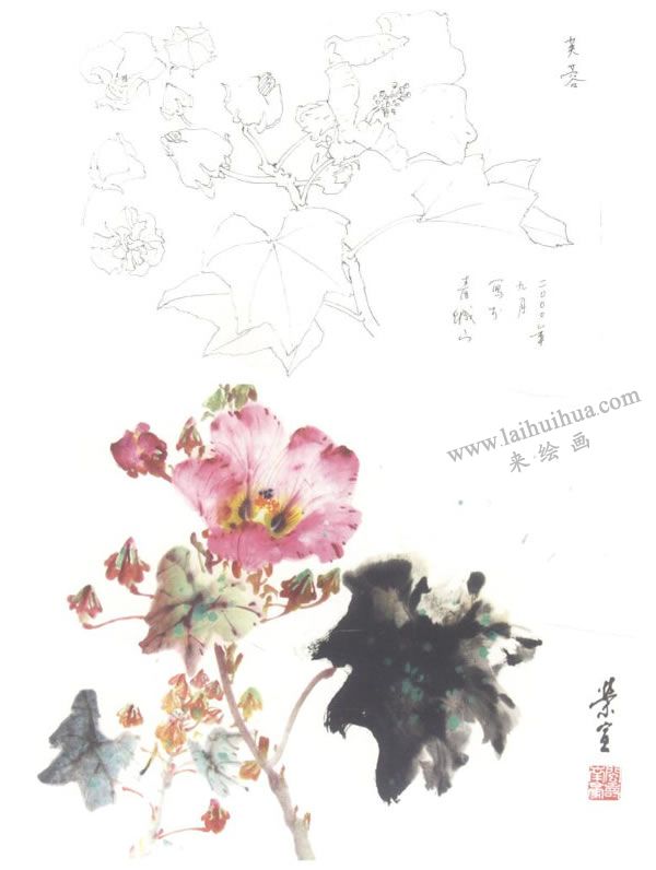 芙蓉花写意画法
