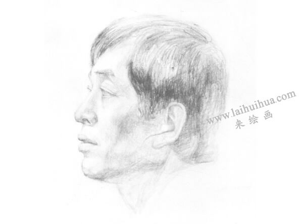 《男子侧面像》（胸像）素描画法步骤02