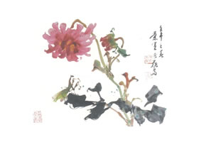 大丽花写意画法