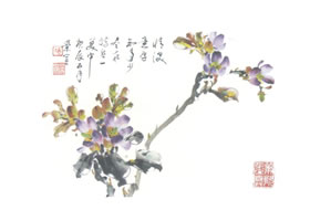 含笑花写意画法