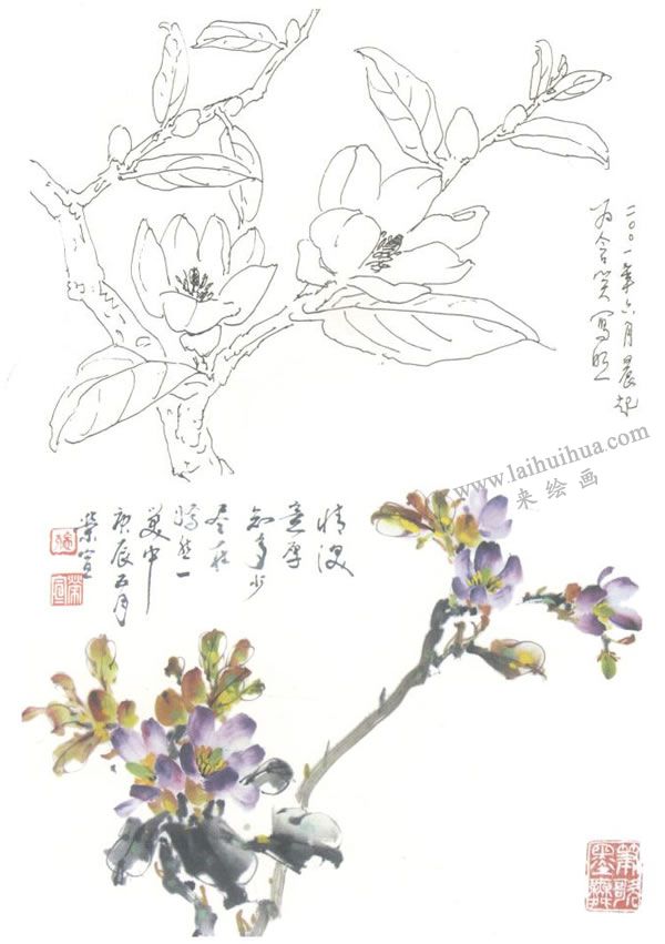 含笑花写意画法