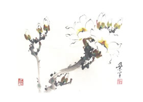 玉兰写意画法