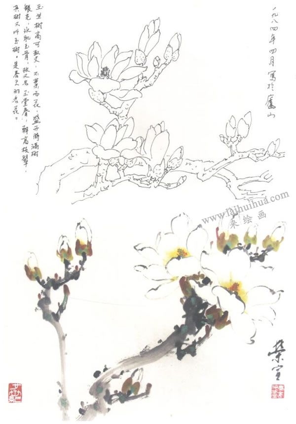 玉兰写意画法
