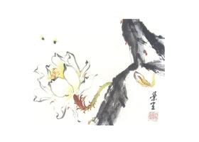 昙花写意画法