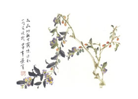 枸杞写意画法