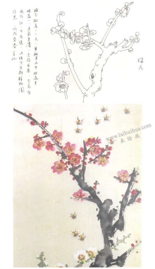 梅花的写意画法