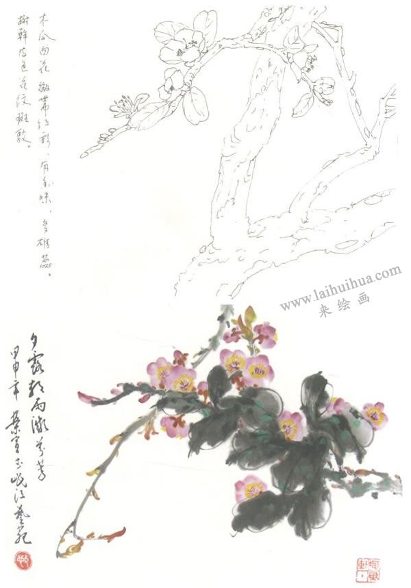 木瓜写意画法