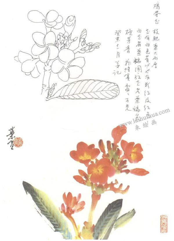 鸡蛋花写意画法