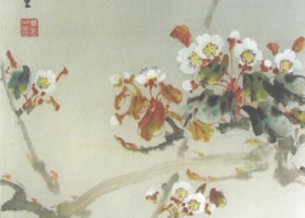 梨花的写意画法