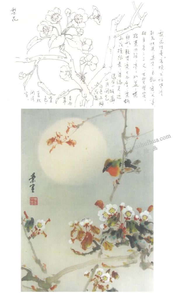 梨花的写意画法