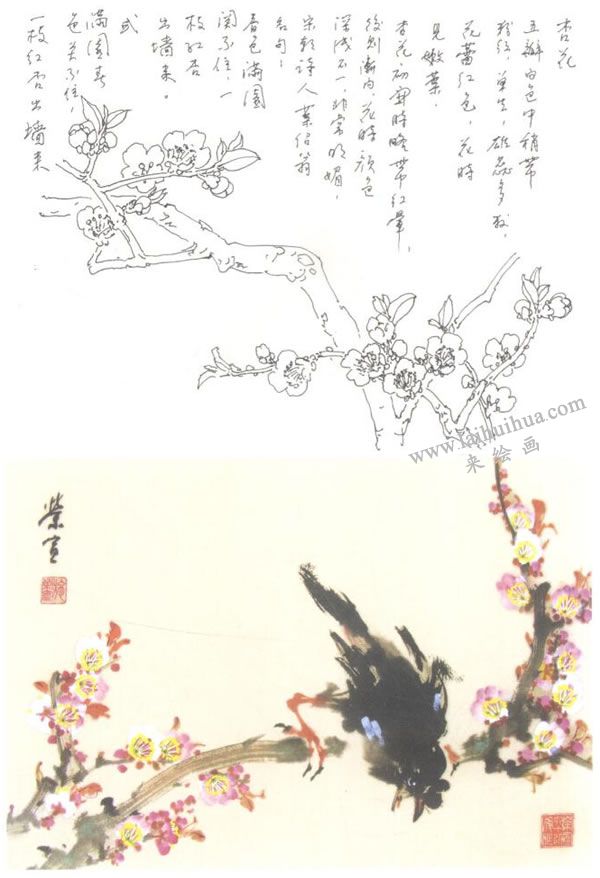 杏花的写意画法
