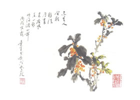 桂花写意画法
