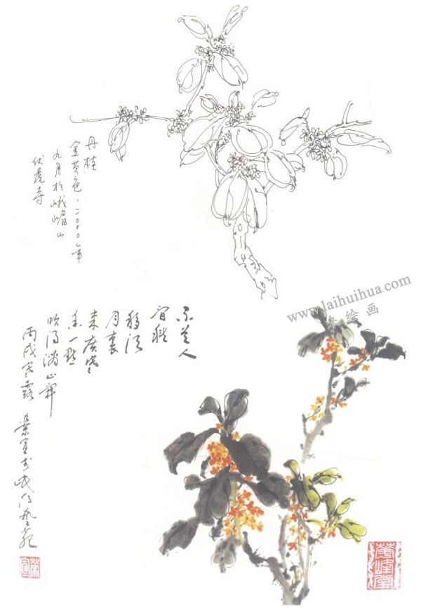 桂花写意画法