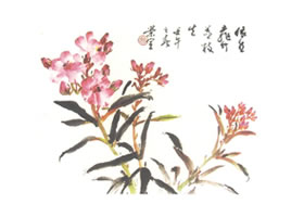 夹竹桃写意画法