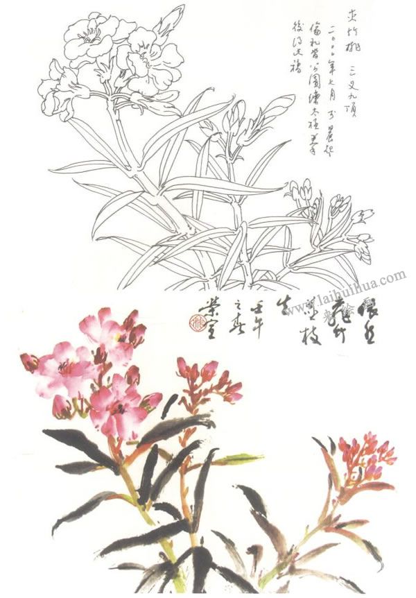 夹竹桃写意画法