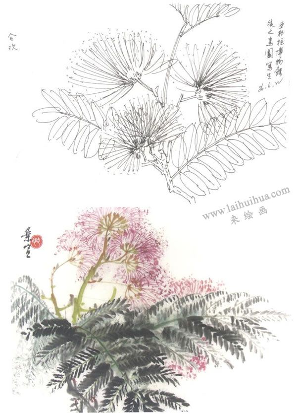 合欢的写意画法