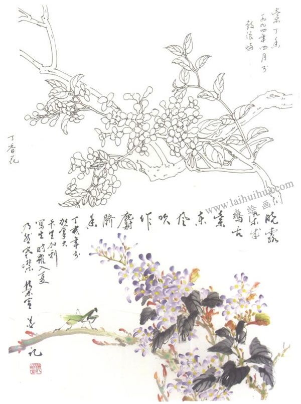 丁香花写意画法