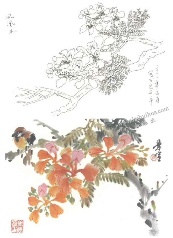 凤凰木写意画法