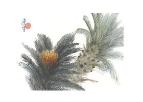 铁树写意画法