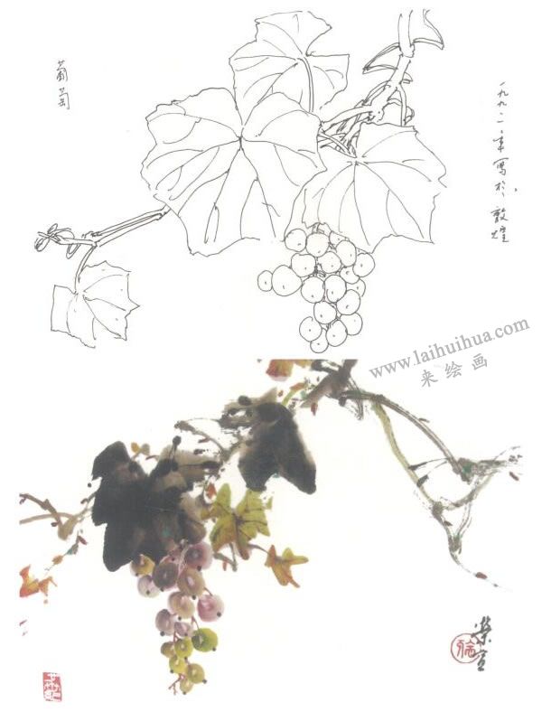 葡萄写意画法