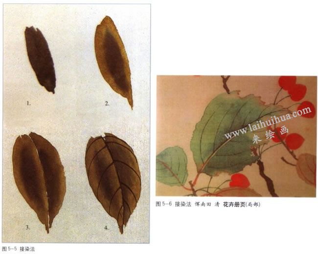 接染法