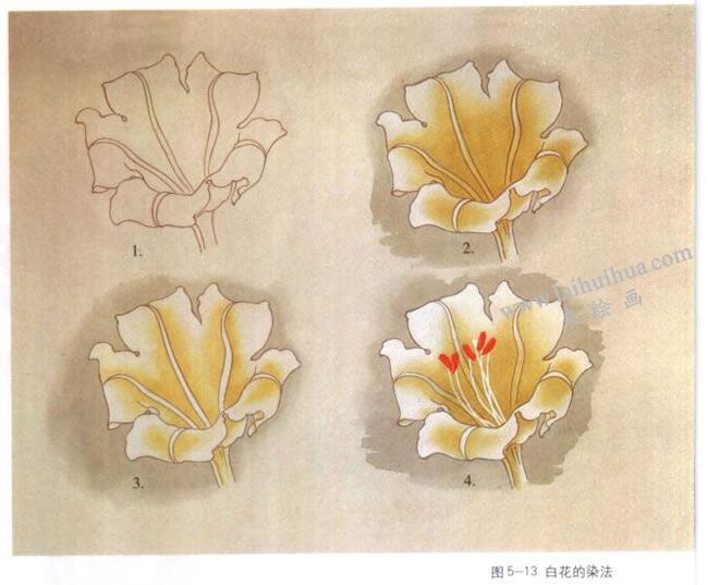 白花的染法：以扎伊尔花为例