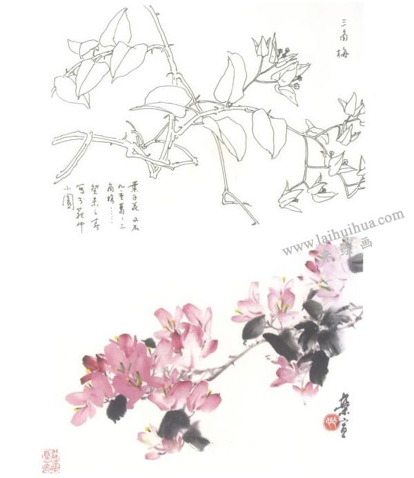 三角梅写意画法