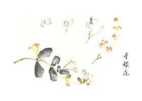 金银花写意画法