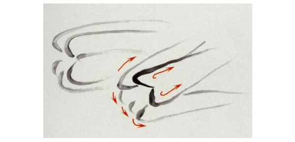 大白菜写意画法步骤图示01