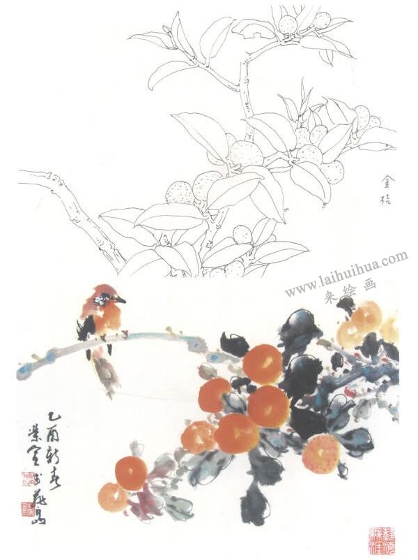 金橘写意画法