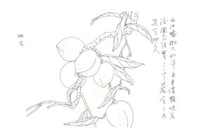 桃子写意画法