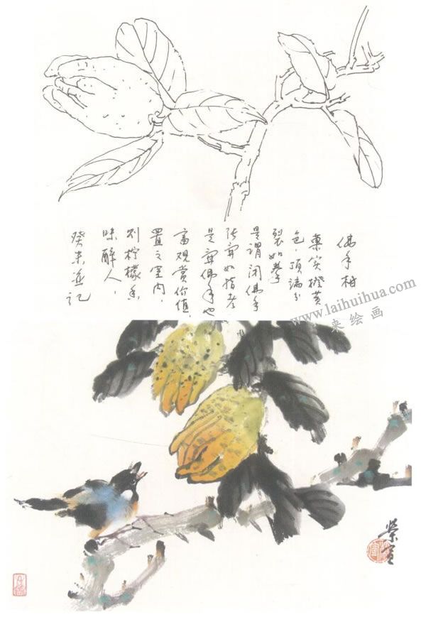 佛手柑写意画法