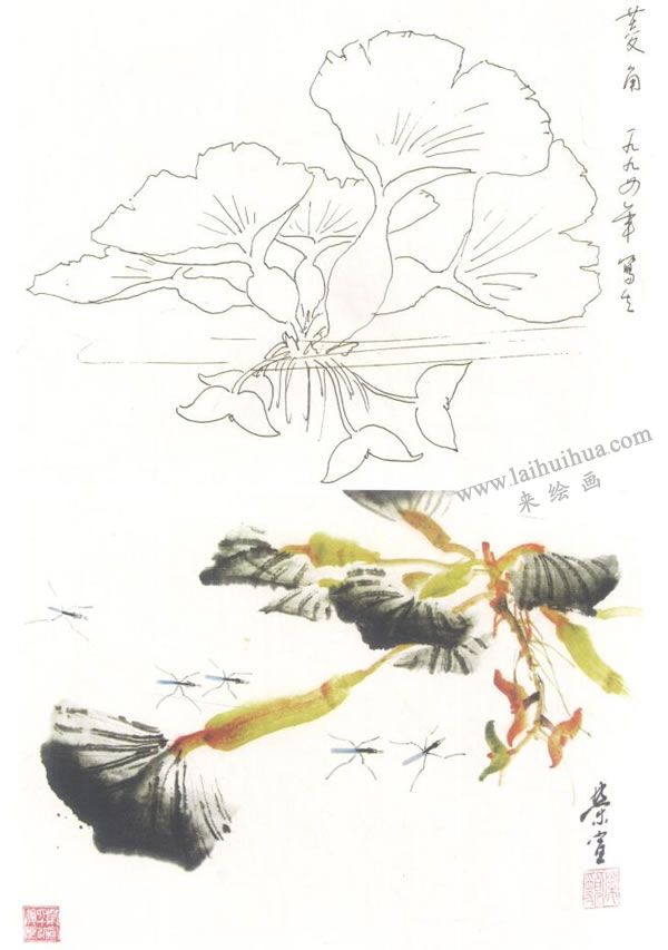 菱角写意画法