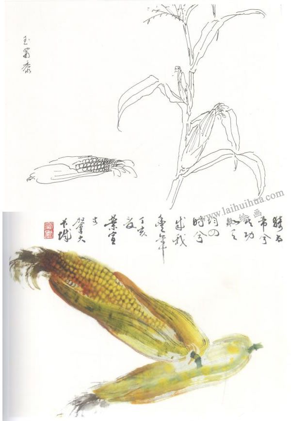 玉蜀黍（粟米）写意画法