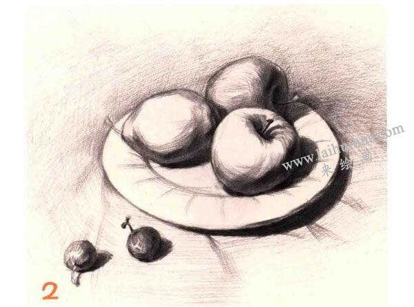 水果组合素描画法步骤图示02