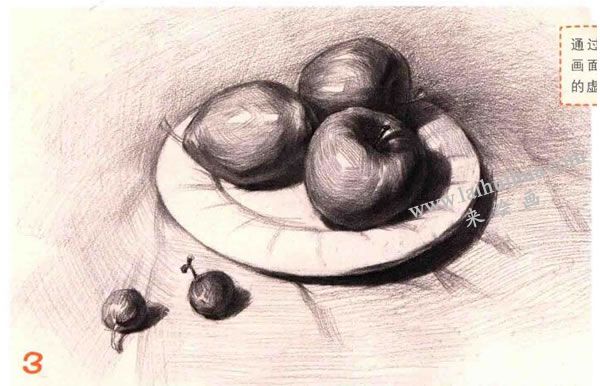 水果组合素描画法步骤图示03