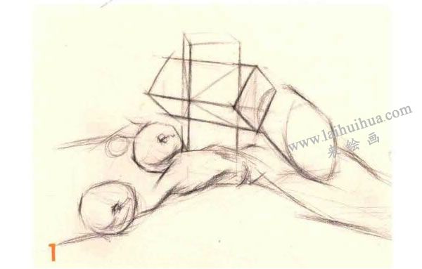 石膏体、水果组合素描画法步骤图示01