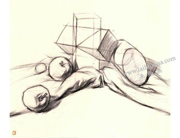 石膏体、水果组合素描画法步骤图示03