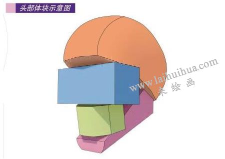 头部体块示意图