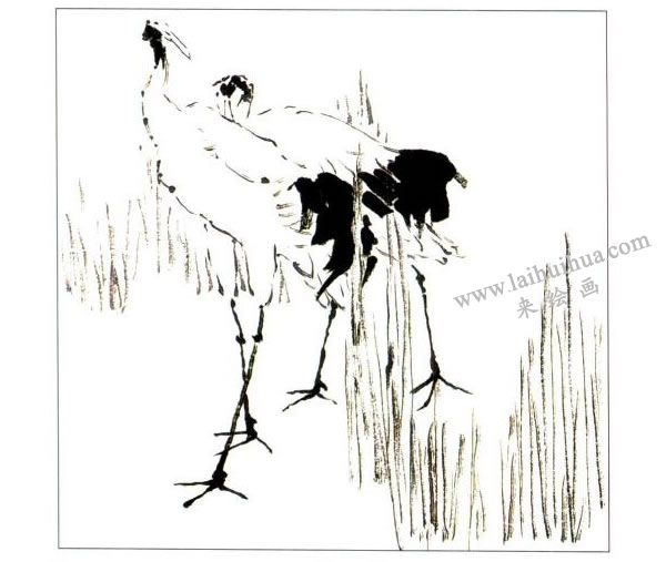 丹顶鹤画法步骤03
