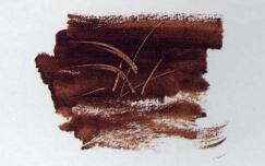 水粉画用笔：刮