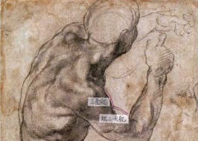 速写作画的角度与动态