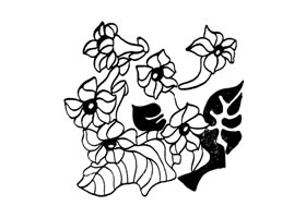 烟花装饰画图片