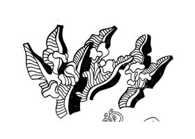 美人蕉装饰画图片