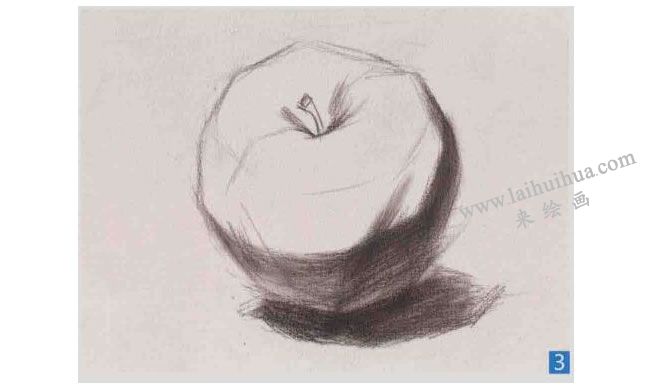 苹果素描画法步骤图示03