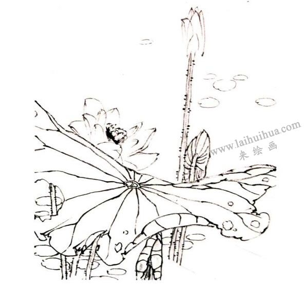 李同安《荷趣图》小写意画法步骤图示01