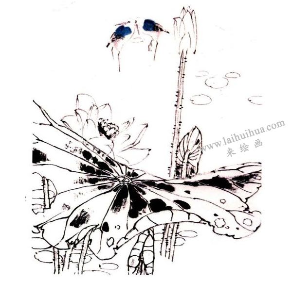 李同安《荷趣图》小写意画法步骤图示03